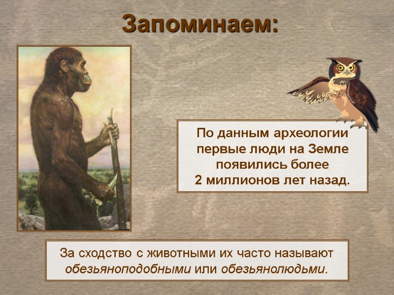 За сходство с животными их часто называют обезьяноподобными или обезьянолюдьми. По данным археологии первые